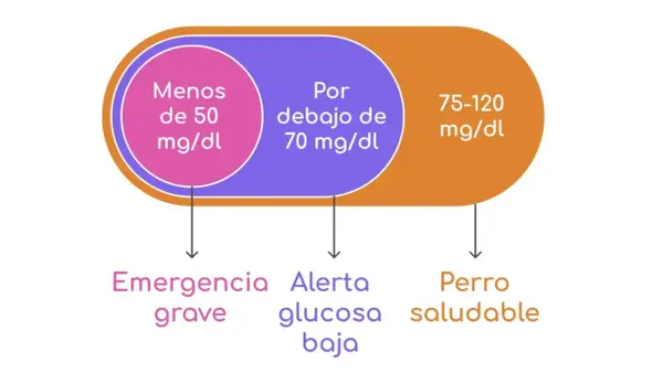 Niveles de azúcar en perros: menos de 50 mg/dl es emergencia grave, debajo de 70 mg/dl es alerta de glucosa baja, y 75-120 mg/dl indica un perro saludable.